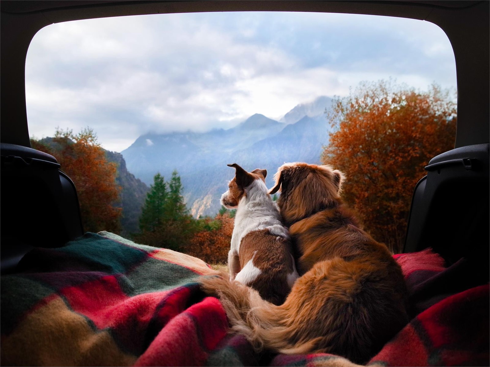 Viaje con su mascota en autocaravana